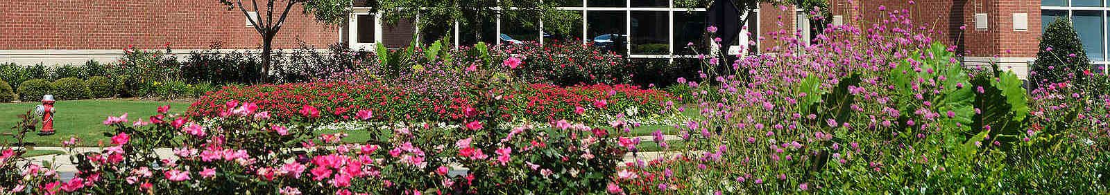 Landscape Services Management Services, Bay Area, CA