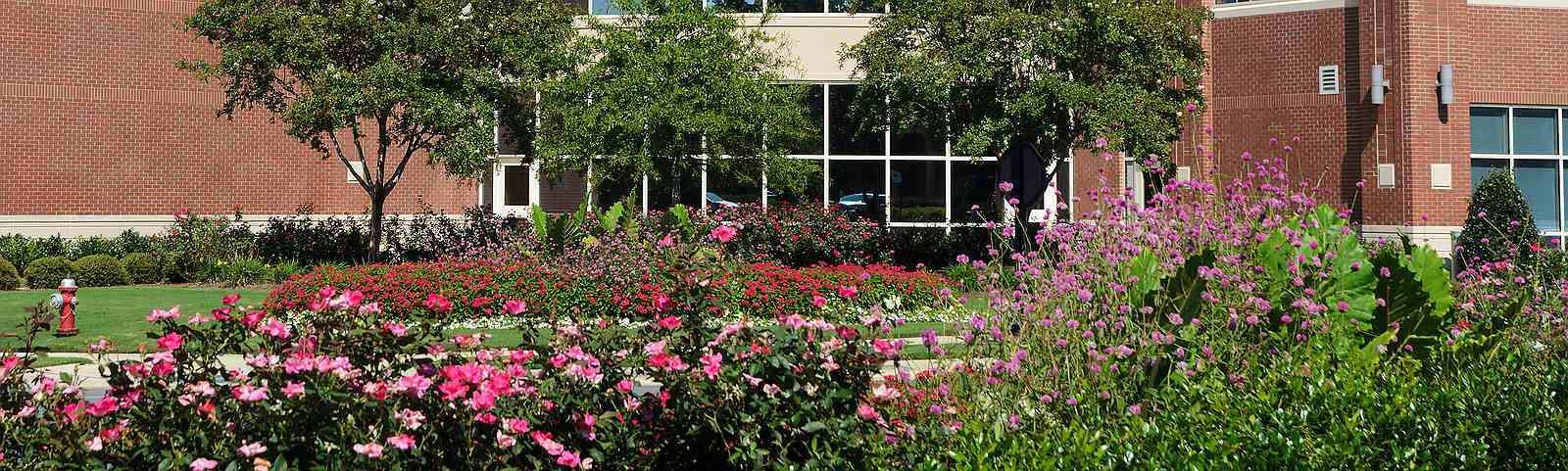 Commercial Landscape Services and Design, East Bay, CA