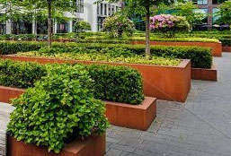 Bay Friendly Landscaping Concepts and Ideas
