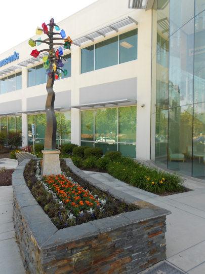 Commercial Landscape Management Services, San Jose, CA