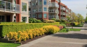 HOA Complex Landscape, Commercial Lawn Services, East Bay, CA