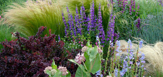 Drought Tolerant Landscaping