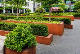 Commercial Landscape Installation Services