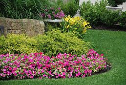 Seasonal Flower Plantings, Landscape Services Fremont, Bay Area, CA