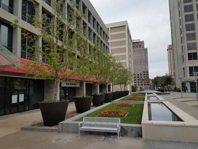 Bay Area Office Building Landscape Management