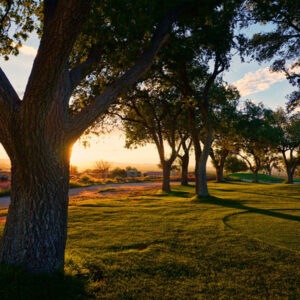 Pest Resistant Landscapes, Walnut Creek, CA