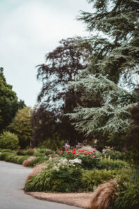 Pest Resistant Landscapes, Walnut Creek, CA