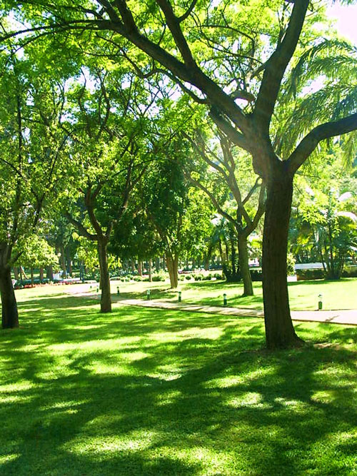 Park Landscape Services San Jose Area