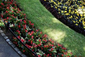 Landscape Maintenance Company san jose