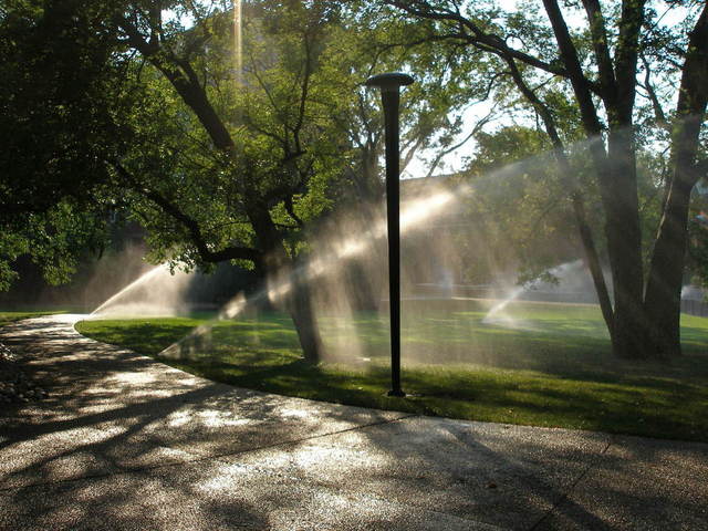 Irrigation Drainage Repair bay area